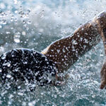 JCHS Varsity Swimming