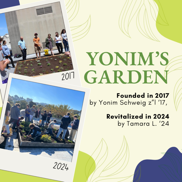 YONIM’S GARDEN