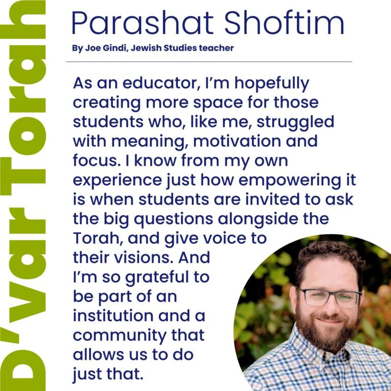 d'var Torah by Joe Gindi (Parashat Shoftim)